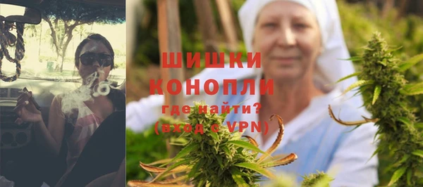 прущие грибы Майский