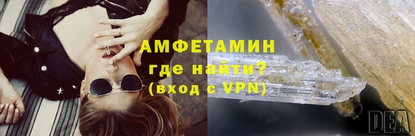 прущие грибы Майский