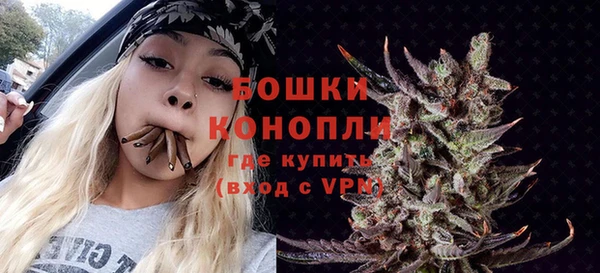 прущие грибы Майский