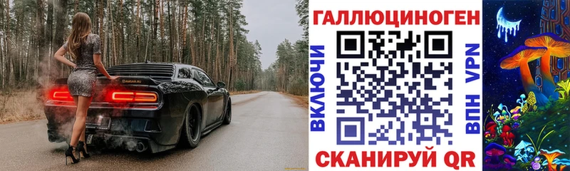 Купить  Мамоново  Галлюциногенные грибы Psilocybine cubensis 